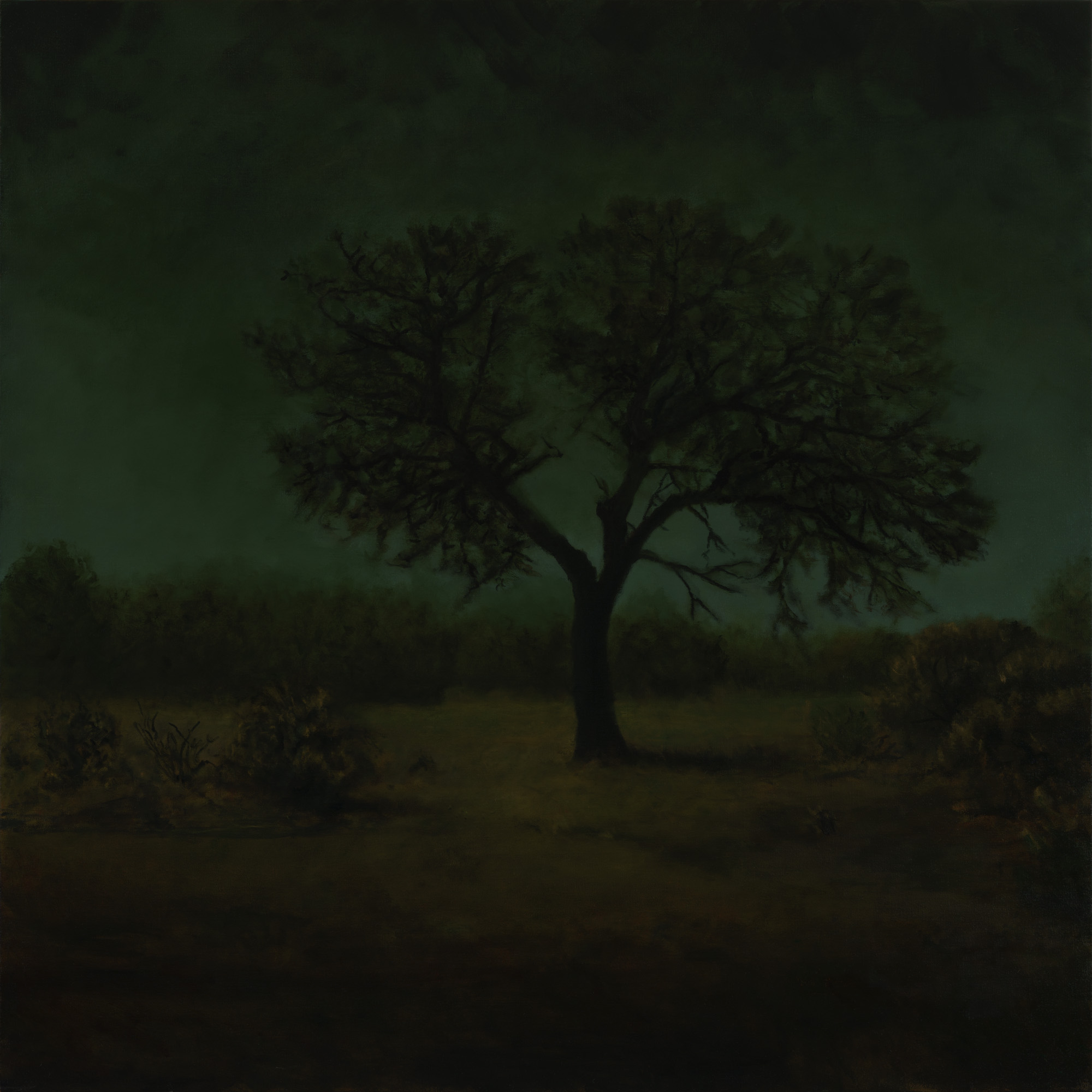 American Tonalism / The Watchman / Chris Peters